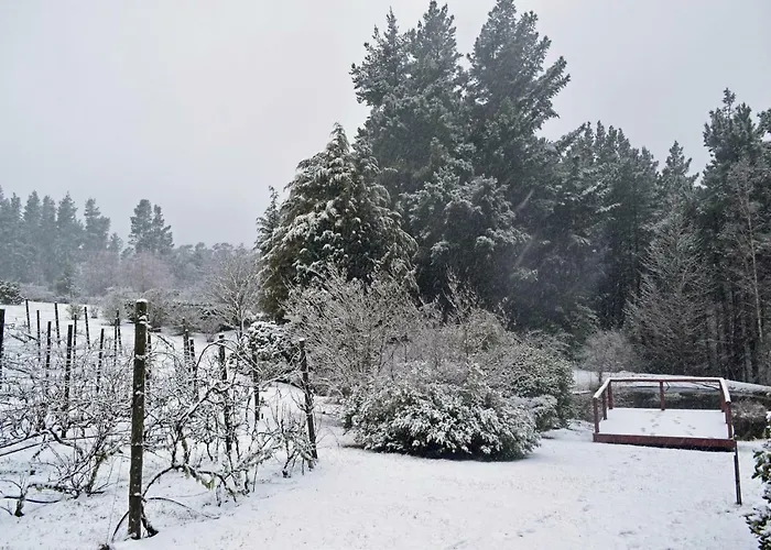 Windrush On Hogsback