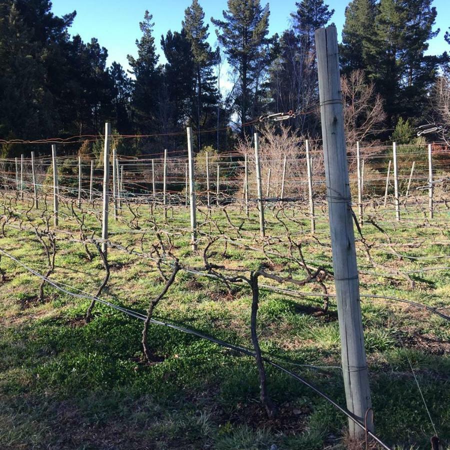 Windrush On Hogsback