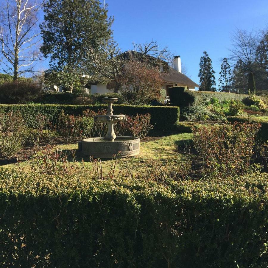 Windrush On Hogsback