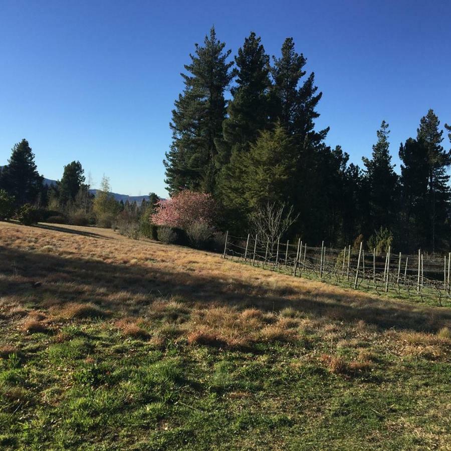 Apartment Windrush On Hogsback