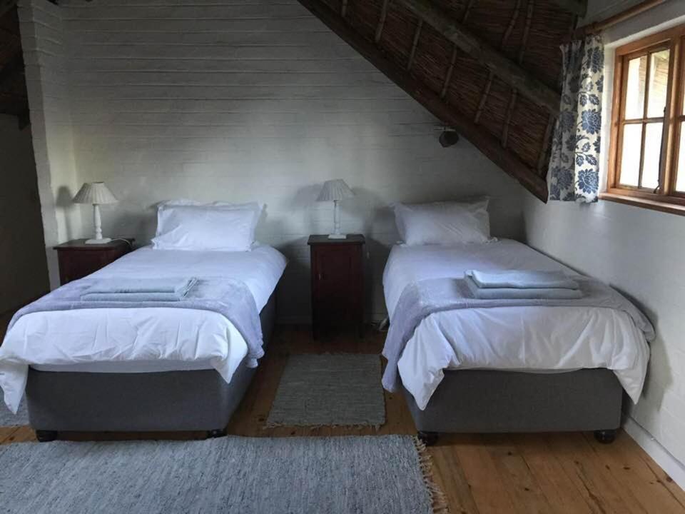 Apartment Windrush On Hogsback